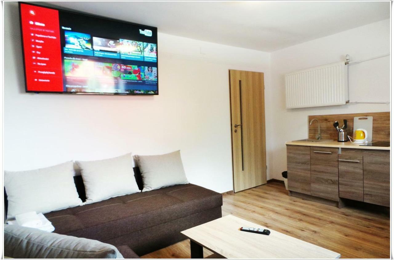 Villa Vista Apartamenty & Sauna ザコパネ エクステリア 写真
